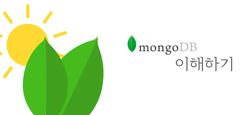 MongoDB 이해하기